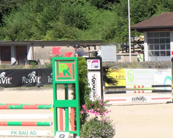 Reitturnier Schüpfheim 2024