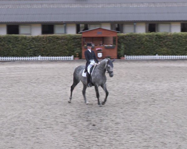 Reitturnier Gerasdorf bei Wien 2024