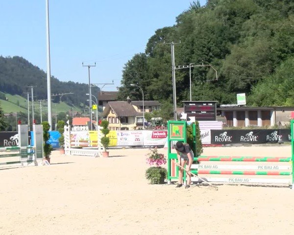 Reitturnier Schüpfheim 2024