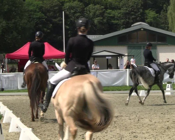 Reitturnier Bergisch Gladbach - Hebborner Hof 2024
