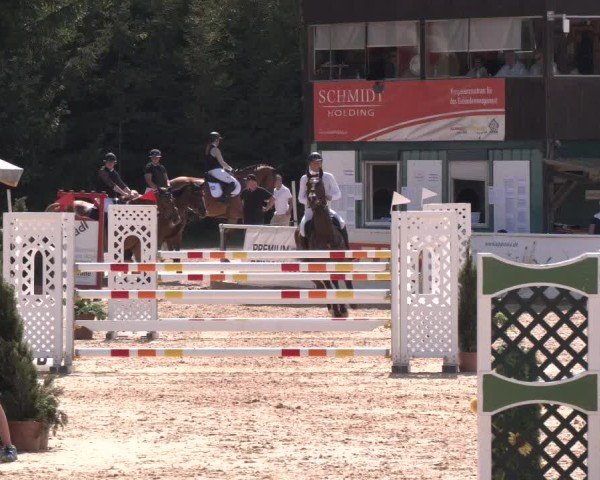 Reitturnier Ranshofen - Braunau am Inn 2024