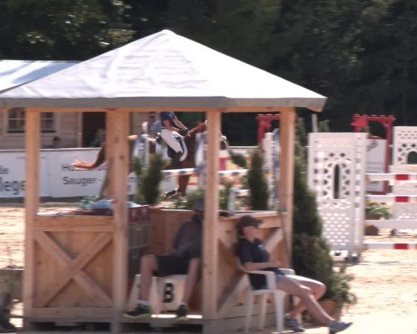 Reitturnier Ranshofen - Braunau am Inn 2024