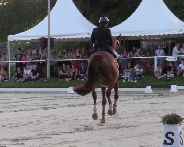 Reitturnier Bergisch Gladbach - Hebborner Hof 2024