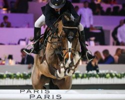 jumper Fioretta van het Eigenlo (Belgian Warmblood, 2005, from Berlin)