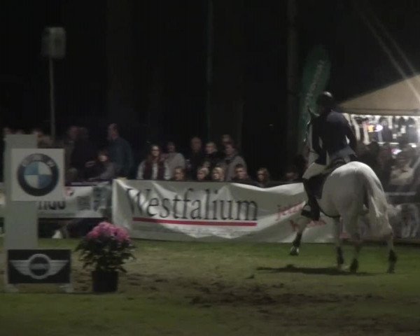 Pfingst-Dressur- und Springturnier 2013 des ZRFV Borken