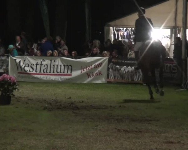Pfingst-Dressur- und Springturnier 2013 des ZRFV Borken