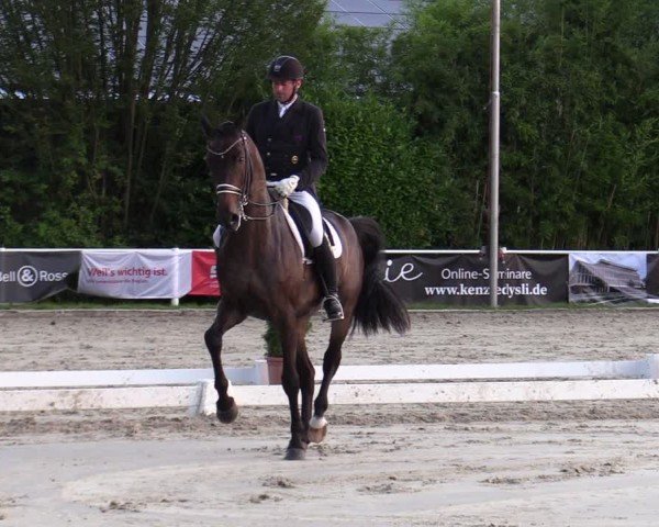Reitturnier Bergisch Gladbach - Hebborner Hof 2024