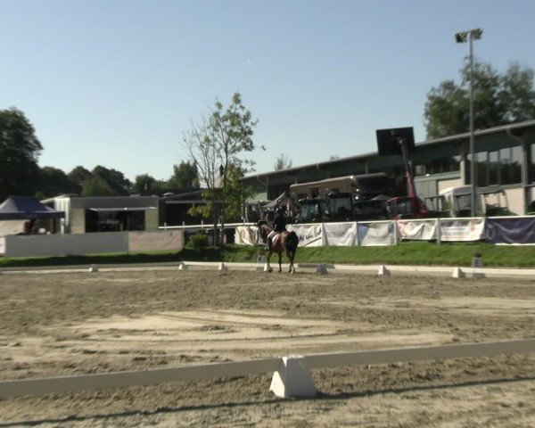 Reitturnier Bergisch Gladbach - Hebborner Hof 2024