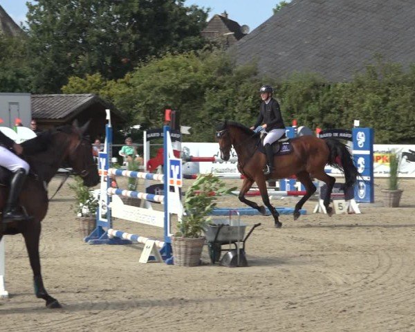 Reitturnier Behrendorf 2024