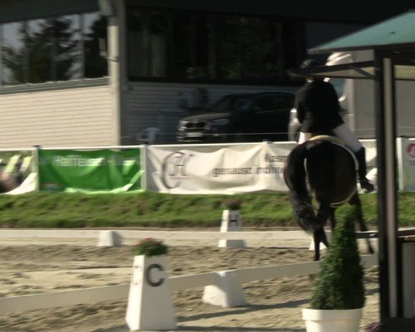 Reitturnier Bergisch Gladbach - Hebborner Hof 2024