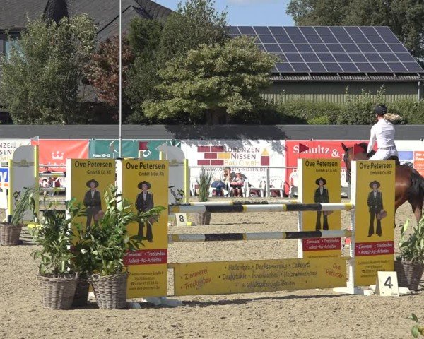 Reitturnier Behrendorf 2024