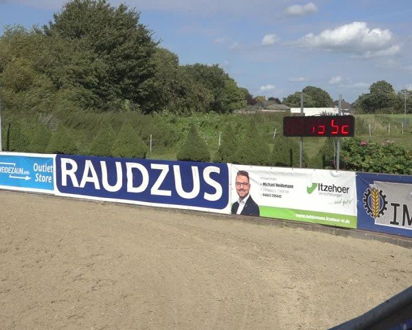 Reitturnier Behrendorf 2024