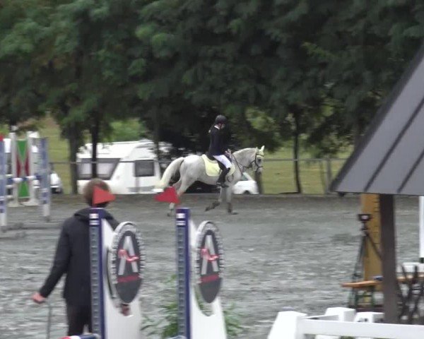 Reitturnier Horitschon 2024