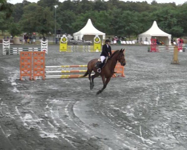 Reitturnier Horitschon 2024