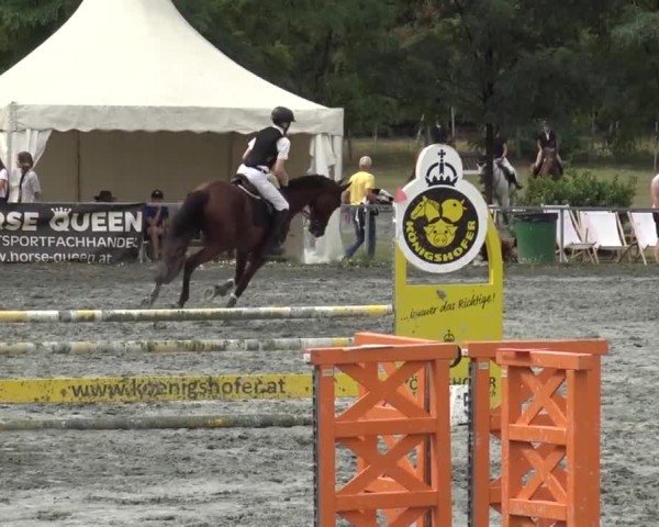 Reitturnier Horitschon 2024
