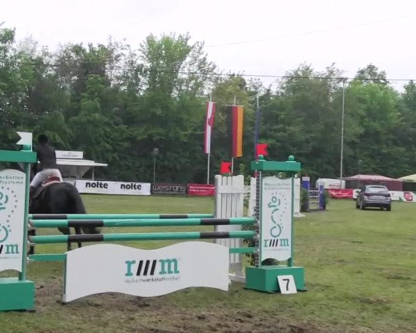 Pfingst-Dressur- und Springturnier 2013 des ZRFV Borken
