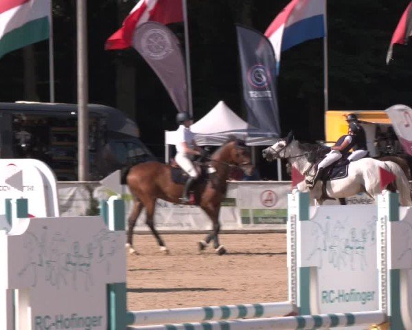 Reitturnier Ranshofen - Braunau am Inn 2024