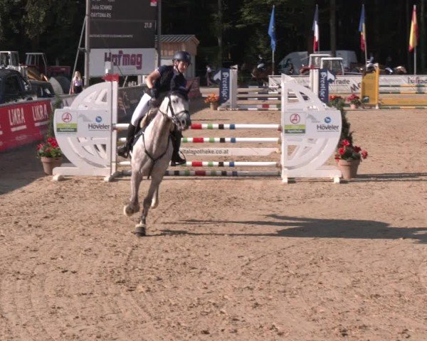 Reitturnier Ranshofen - Braunau am Inn 2024