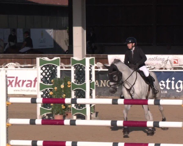 Reitturnier Ranshofen - Braunau am Inn 2024