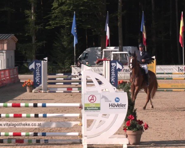 Reitturnier Ranshofen - Braunau am Inn 2024