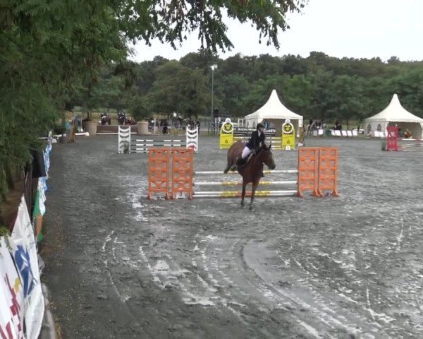 Reitturnier Horitschon 2024
