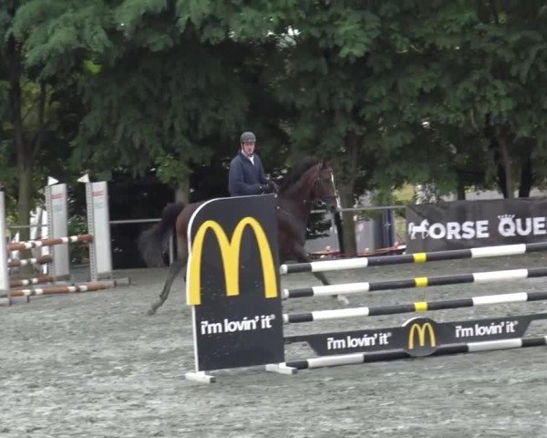Reitturnier Horitschon 2024