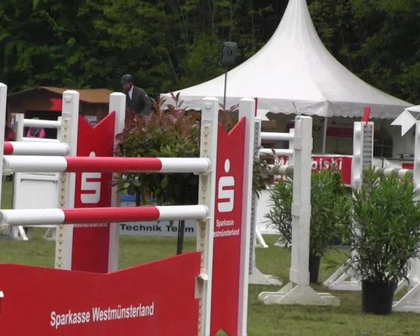 Pfingst-Dressur- und Springturnier 2013 des ZRFV Borken