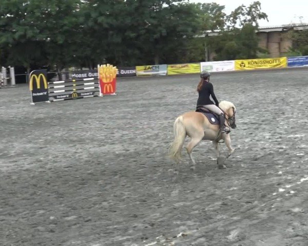 Reitturnier Horitschon 2024