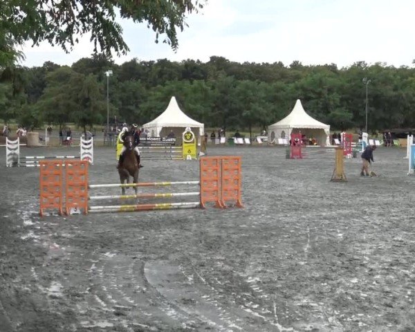 Reitturnier Horitschon 2024