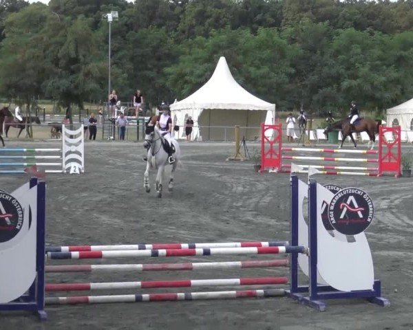 Reitturnier Horitschon 2024