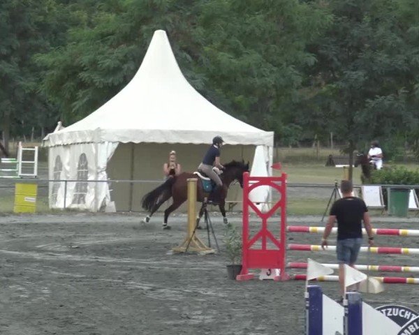 Reitturnier Horitschon 2024