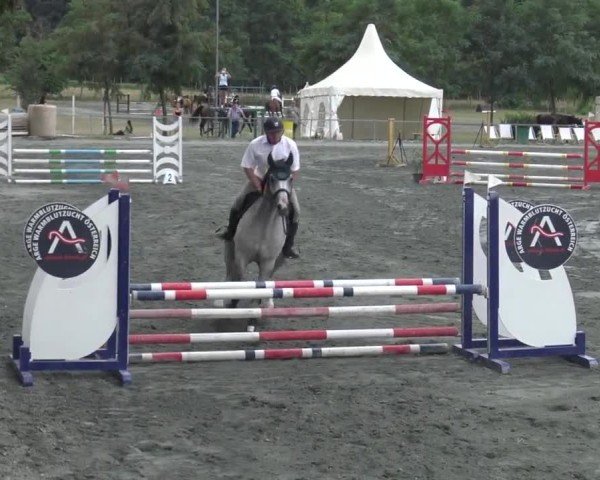 Reitturnier Horitschon 2024