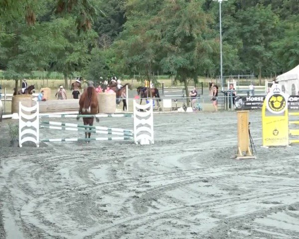 Reitturnier Horitschon 2024