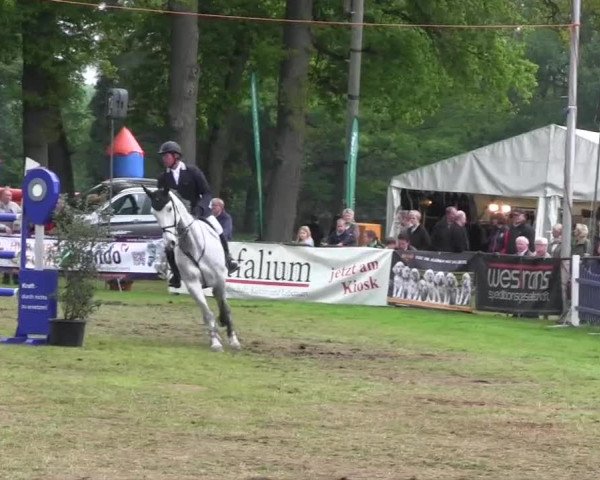 Pfingst-Dressur- und Springturnier 2013 des ZRFV Borken