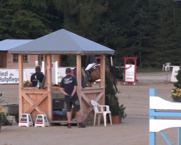 Reitturnier Ranshofen - Braunau am Inn 2024