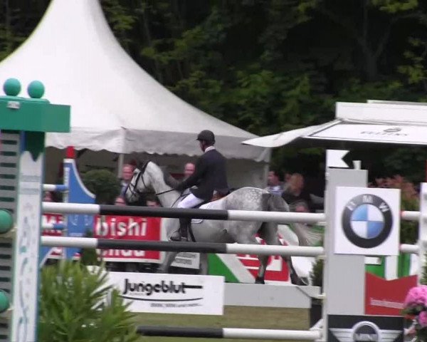 Pfingst-Dressur- und Springturnier 2013 des ZRFV Borken