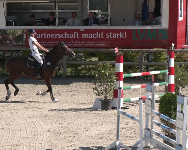 Reitturnier Münster-Amelsbüren 2024