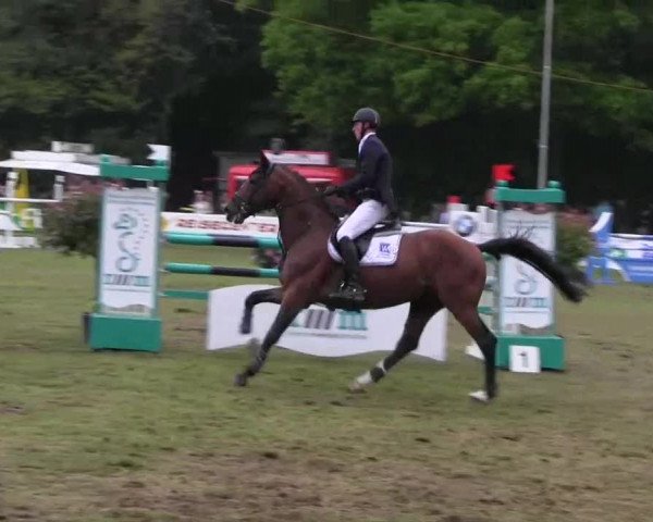 Pfingst-Dressur- und Springturnier 2013 des ZRFV Borken