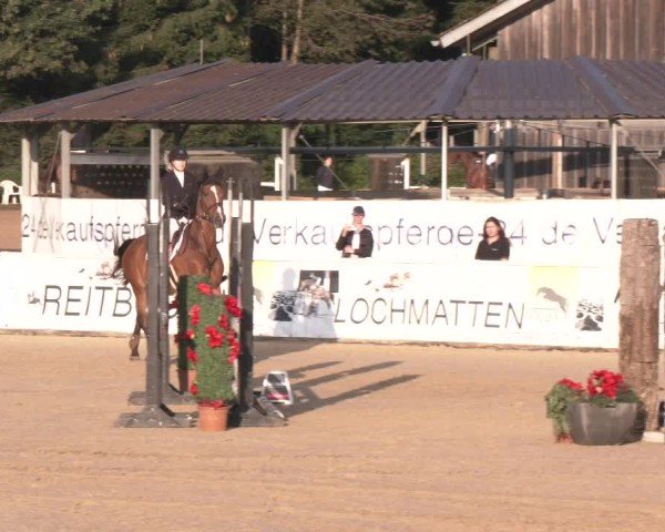 Reitturnier Ranshofen - Braunau am Inn 2024