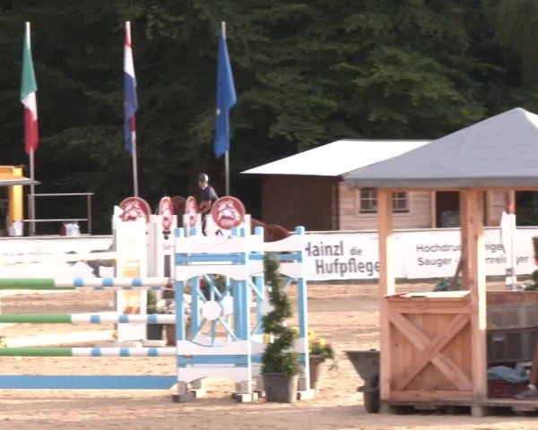 Reitturnier Ranshofen - Braunau am Inn 2024