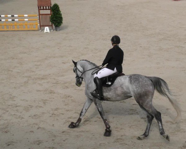Reitturnier Ingolstadt - Hagau 2024