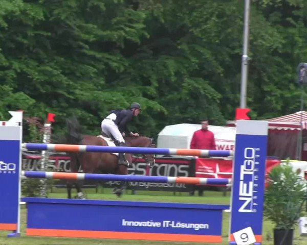 Pfingst-Dressur- und Springturnier 2013 des ZRFV Borken