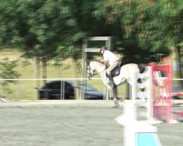 Reitturnier Horitschon 2024