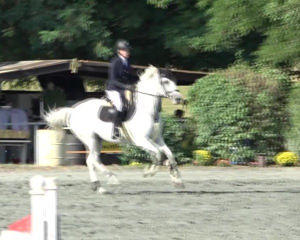 Reitturnier Horitschon 2024