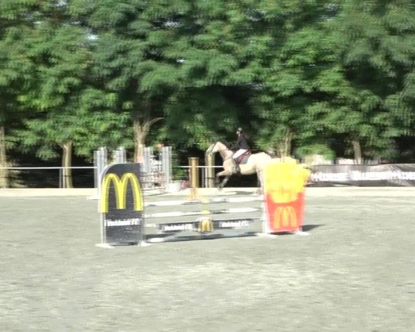 Reitturnier Horitschon 2024