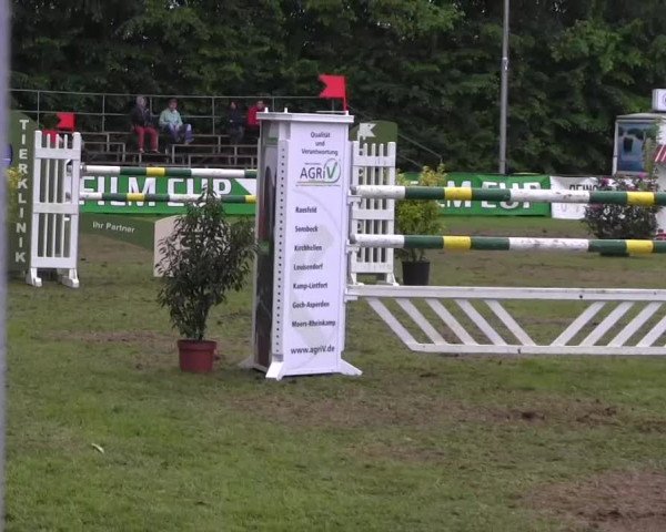 Pfingst-Dressur- und Springturnier 2013 des ZRFV Borken