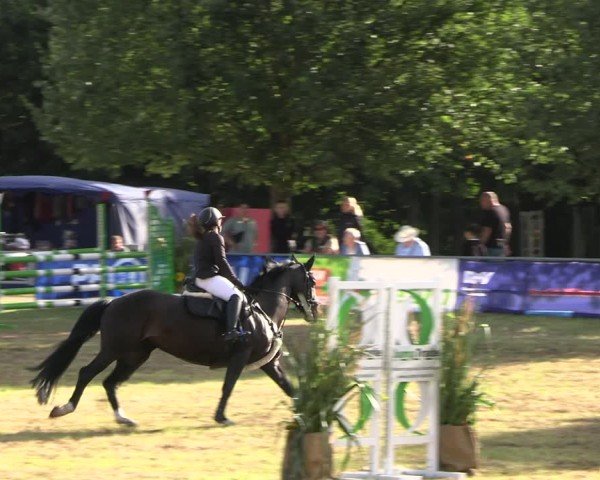 Reitturnier Woldegk 2024