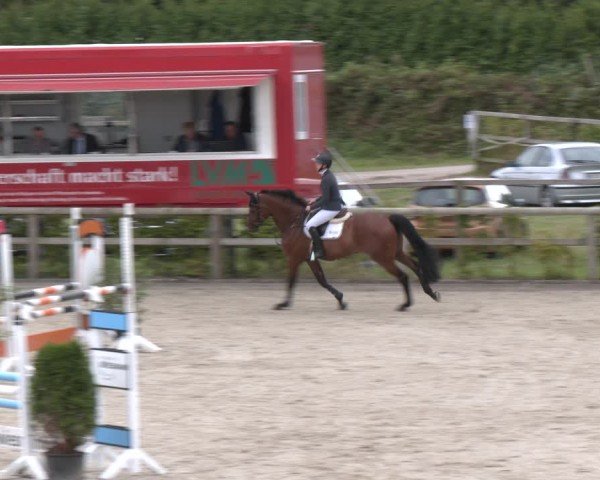 Reitturnier Münster-Amelsbüren 2024