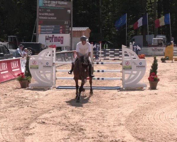 Reitturnier Ranshofen - Braunau am Inn 2024