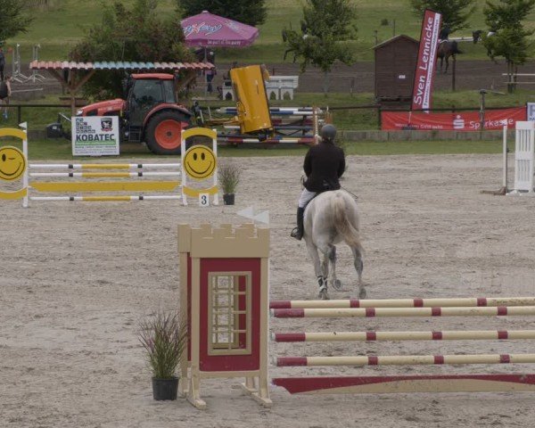 Reitturnier Halle - Seeben 2024